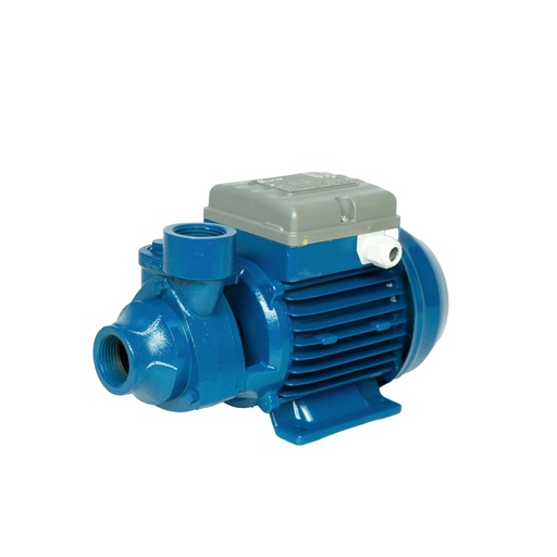[205008]  BOMBA PE 100 PERIFÉRICA 1" X 1" -  1 HP/220V - FORAS