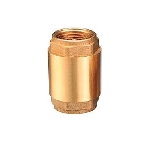 [160576]  VALVULA RETEN VERT 2" ASTO PLASTICO-EDR