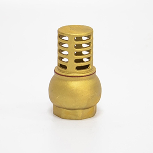 [160667]  VALVULA DE PIE LATON 2" - EDR