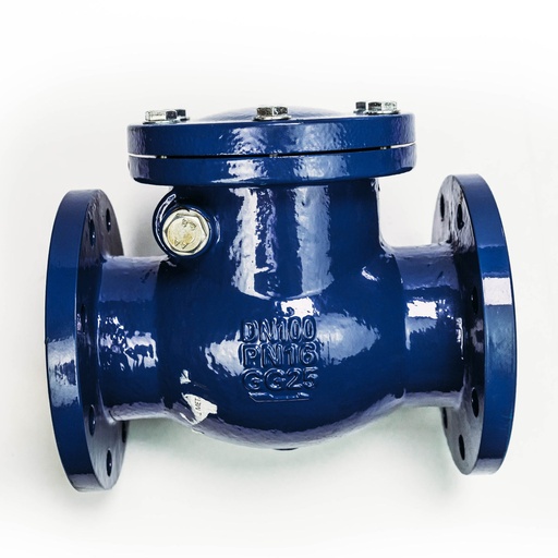 [164764]  VALVULA RETEN HORZ METALICA BB  4"